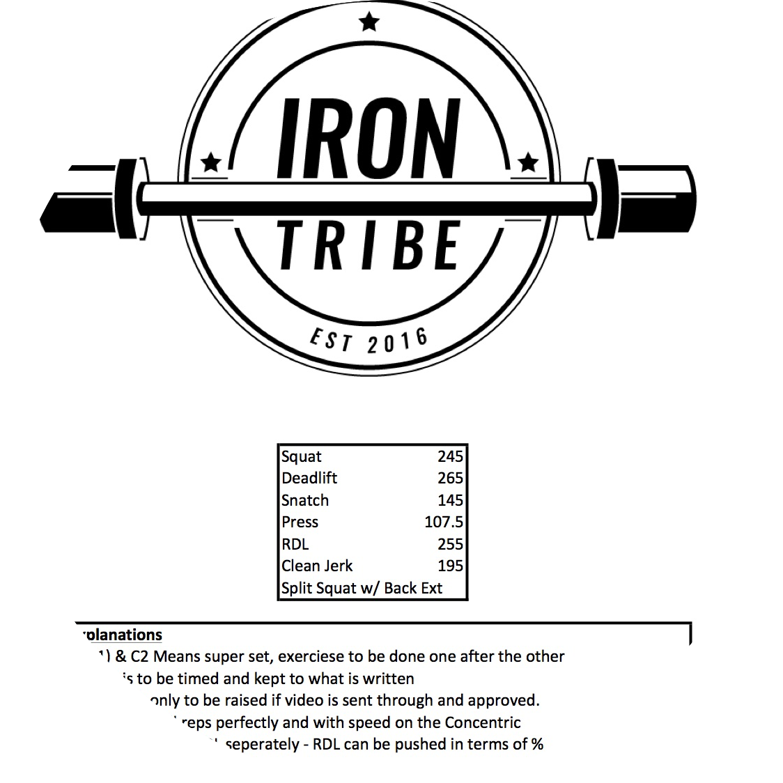 Iron Tribe program-design